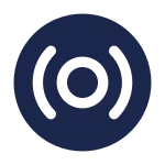 Vinyl Record SVG Icon